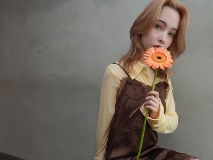 カンナ(Canna)の写真