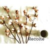 レコルト(Recolte)のお店ロゴ
