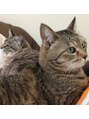 タバサ(tabasa)&nbsp;17歳の婆ちゃんですが、自慢のニャン×2 