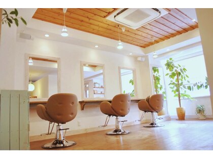 ロト(ROTO)の写真