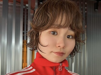 シロ(Shiro)の写真