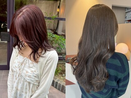 ヨーク(YOKE)の写真