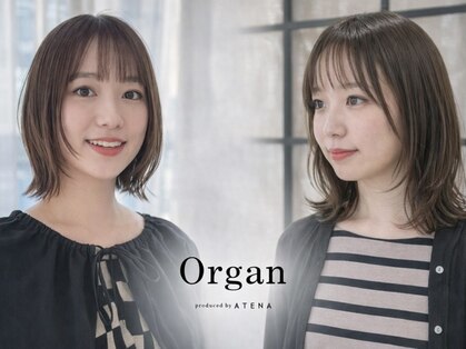 オルガン(Organ)の写真