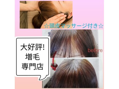 エルメゾンの写真