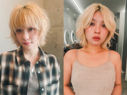 シラフ(SHIRAF)の写真