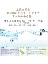 【水素イオントリートメント】