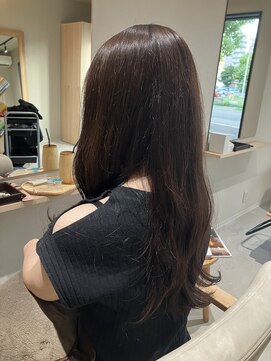 本と南風 guest design