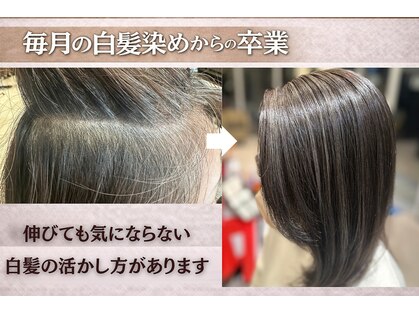 スガミ(SUGAMI)の写真