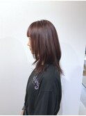 前髪あり×ソフトウルフ
