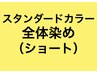 スタンダードカラー全体染め(ショート） 白髪染め/おしゃれ染め
