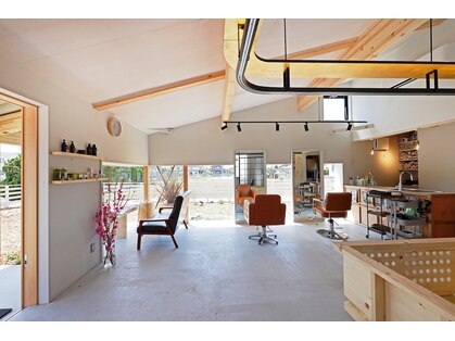 ピオニー(PEONY)の写真