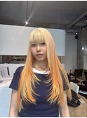 セクションカラー