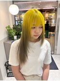 イエロールーツカラー