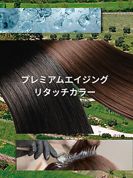 ヘッドスパサロングリーン(green)の写真/【各線三宮駅より徒歩5分】リタッチカラーとヘッドスパで髪質改善♪通う度に髪がキレイに♪
