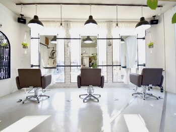 ルピナス(Lupinus)の写真/大型店が苦手、いつもなんとなく落ち着かない…そんな方もリラックス出来る上質な空間でマンツーマン施術◎