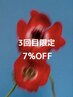 soilららぽーと【ヘア３回目】の方限定　　　7%OFF