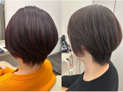 アルビス(arbis)の写真