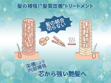 【髪の補強】"髪質改善”トリートメントで、芯から強い艶髪へ