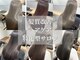 カミエ(kamie)の写真