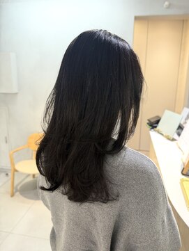 ハイル(Heil) 地毛風カラー/ナチュラルブラック/レイヤー