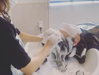 ルーナ(LUNA)の写真/【マイクロバブルmarbb導入】ナノレベルの気泡で汚れを落として、髪の内側から潤う髪に♪【佐野】