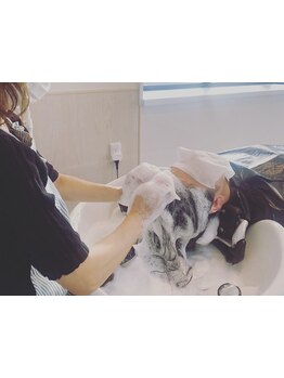 【マイクロバブルmarbb導入】ナノレベルの気泡で汚れを落として、髪の内側から潤う髪に♪【佐野】