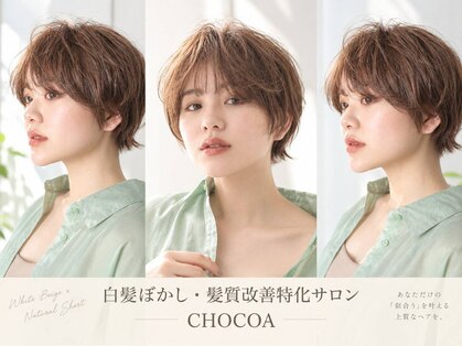 チョコア(CHOCOA)の写真