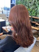 インデペンデンス(independence)&nbsp;レッドブラウン