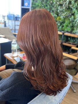 インデペンデンス(independence) レッドブラウン