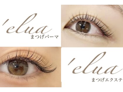 ナイアン エルア(naian elua)の写真