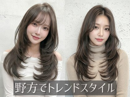 ムク(:muku)の写真