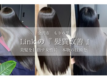 link by vise～髪質改善～【リンクバイビセ】