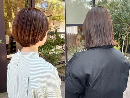ヨーク(YOKE)の写真