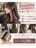 【新メニュー】ブリーチなしでインナーカラー♪シールエクステ 1本￥1100