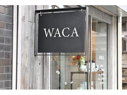 ワカ(WACA)の写真