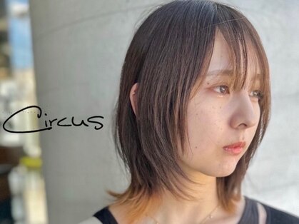 サーカス(circus)の写真