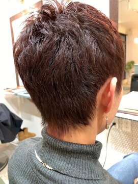 メイン クーン(Maine Coon) ベリーショート