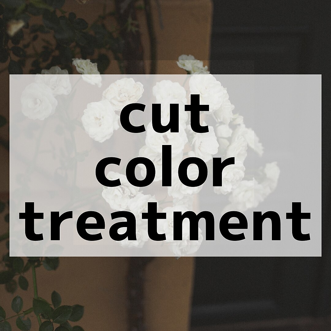 【時短ケア♪】カット＋カラー＋毛髪保護トリートメント　￥14850⇒￥9900