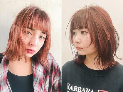 シラフ(SHIRAF)の写真