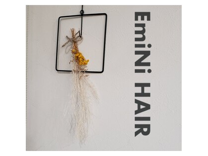 エミニ(EmiNi)の写真