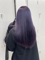 クインセス(Quincess)&nbsp;Blue Lavender【ブルーラベンダー】