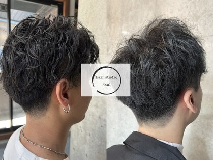 ハウル(Howl)の写真