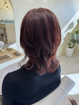 セルン(cerne) ウルフミディアム