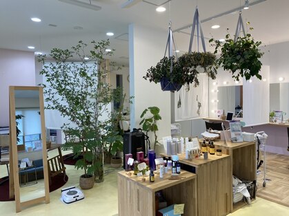 サロンコザ(Salon KOZA)の写真