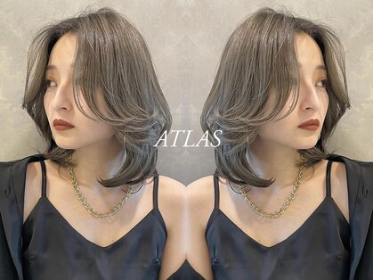 アトラス(ATLAS)の写真