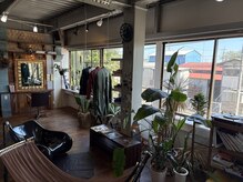 オークモス(OakMoss)