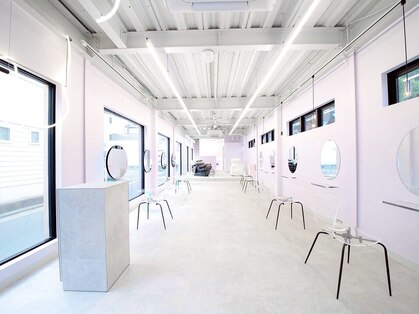 フウ(fuh)の写真