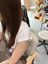 本と南風 guest design