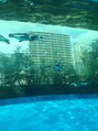 アーサス ヘアー サローネ 五井店(Ursus hair salone by HEADLIGHT) 池袋サンシャイン天空のペンギン♪気持ちよく空を泳いでいます！