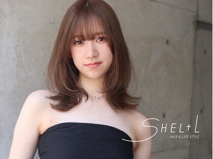 シェル(SHEL+L)の写真